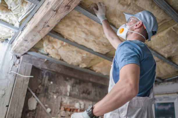 Best Commercial Insulation in De Graff, OH